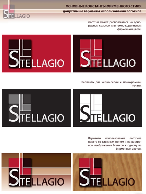 Портфолио брендинг разработка логотипа для компании Stelagio