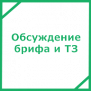 Обсуждение Брифа и ТЗ заказчика